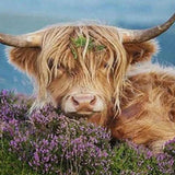 Paint by Numbers Scottish Highlander with Flowers