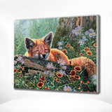 Paint by Numbers Sleeping Fox