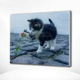 Paint by Numbers Kitten Playing