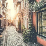 Diamond Painting Alley