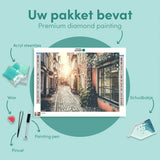 Diamond Painting Alley