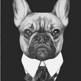 Paint by Numbers Tough Bulldog