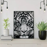 Paint by Numbers Tiger