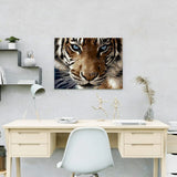 Paint by Numbers Tiger Blue Eyes