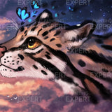 Paint by Numbers Tiger with Blue Butterfly