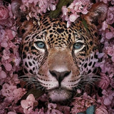 Paint by Numbers Tiger surrounded by Flowers