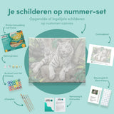 Paint by Numbers Tigers