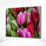 Paint by Numbers Tulips