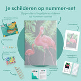Paint by Numbers Two Flamingos