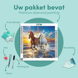 Diamond Painting Two Horses