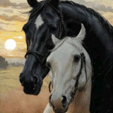 Diamond Painting Two Horses