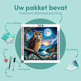 Diamond Painting Owl in the Night