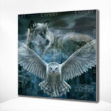 Diamond Painting Owl with Wolf