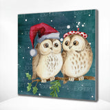 Paint by Numbers Owls Christmas