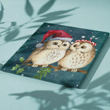 Paint by Numbers Owls Christmas