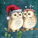 Paint by Numbers Owls Christmas