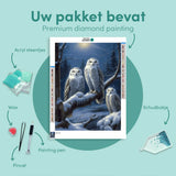 Diamond Painting Owls in the Snow