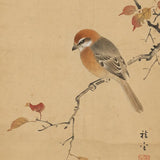 Diamond Painting Bird on a silent branch Japan