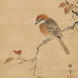Paint by Numbers Bird on a silent branch Japan