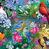 Paint by Numbers Birds with Flowers