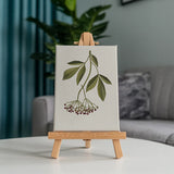 Wild Flower Meadow - Paint by Numbers Mini Set of 6