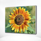 Paint by Numbers Sunflower Yellow Orange