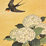 Paint by Numbers Swallow above white hydrangeas Japan