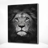 Paint by Numbers Black White Lion Portrait