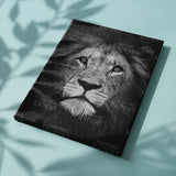 Paint by Numbers Black White Lion Portrait
