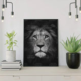 Paint by Numbers Black White Lion Portrait