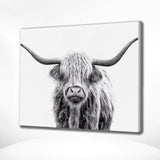 Paint by Numbers Black and White Scottish Highlander