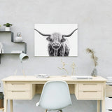 Paint by Numbers Black and White Scottish Highlander