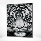 Diamond Painting Black and White Tiger