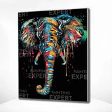 Paint by Numbers Black Elephant with Colours