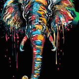Paint by Numbers Black Elephant with Colours