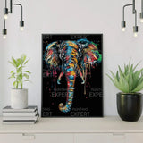 Paint by Numbers Black Elephant with Colours