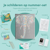 Paint by Numbers Black Elephant with Colours