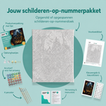 Inhoud van het schilderen-op-nummerpakket De bibliotheek van fluisterende boeken