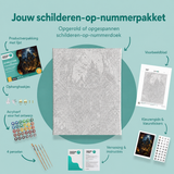 Inhoud van het schilderen-op-nummerpakket De bibliotheek van fluisterende boeken