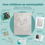 Inhoud van het schilderen-op-nummerpakket De heks in het koude maanlicht