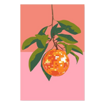 Vrijstaand ontwerp Discofruit zonder achtergrond