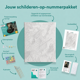 Inhoud van het schilderen-op-nummerpakket Heks, alsjeblieft