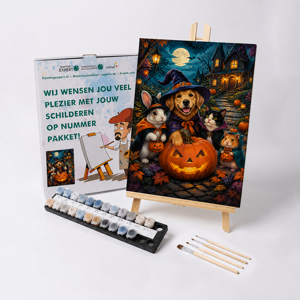 Schilderen op nummer Huisdieren vieren spooknacht met verf en penselen