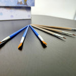 Premium Brushes | 5 pieces
