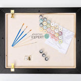 Paint by Numbers Turtle (With Frame)